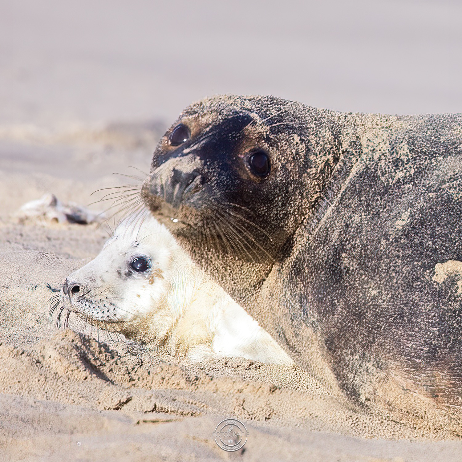 08 januari 2023 144841 1R2A2094 bewerkt